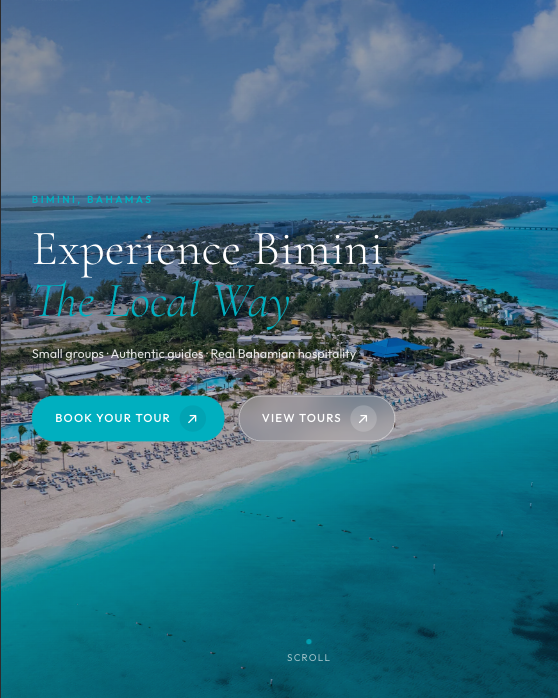 Bimini Island Tours website